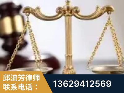 安阳-委托诉讼代理人出庭